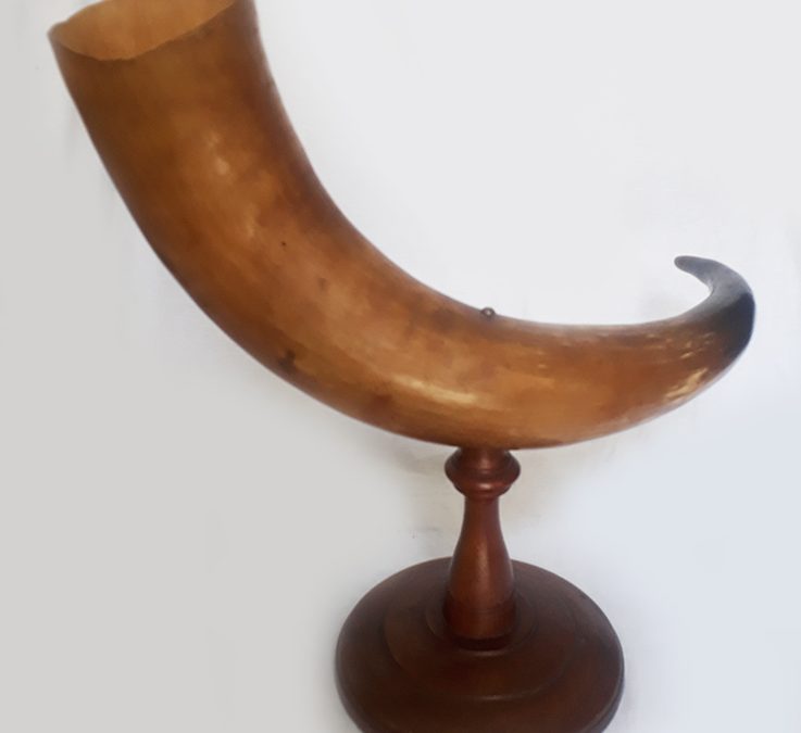 DI 150 – Cornucópia ou chifre antigo natural com base em madeira torneada