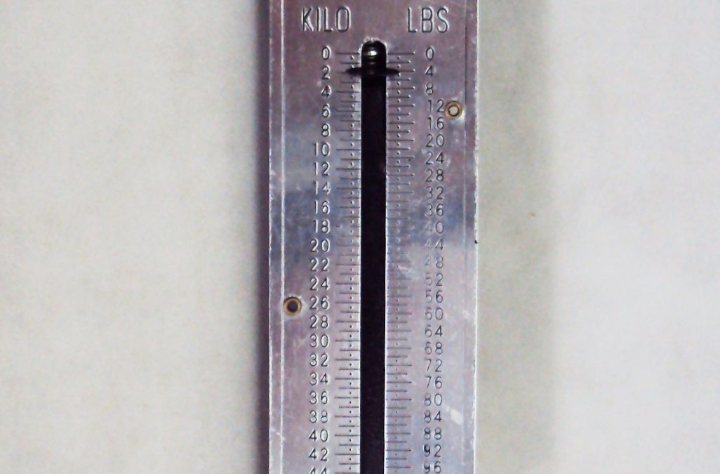 DI 24 – Balança de armazém de pendurar Kmach Pocket Balance em metal