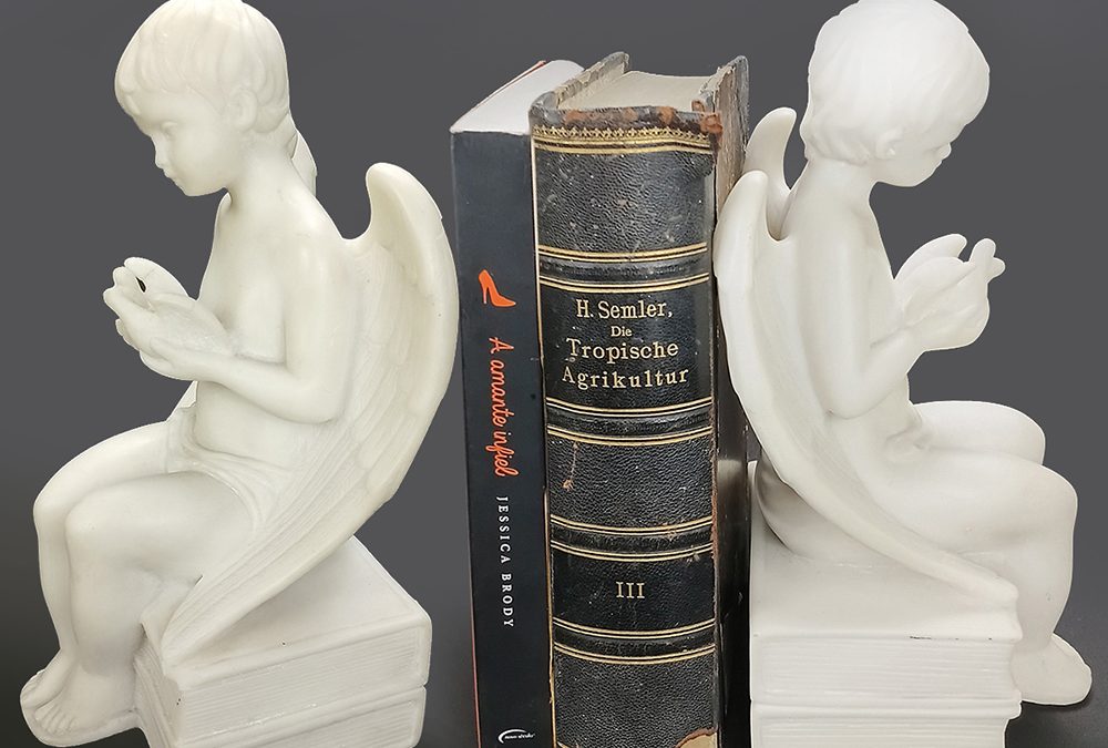 ES 01 – Par de bibliocantos ou ampara livros em forma de anjos em resina